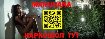 сатива Брянск
