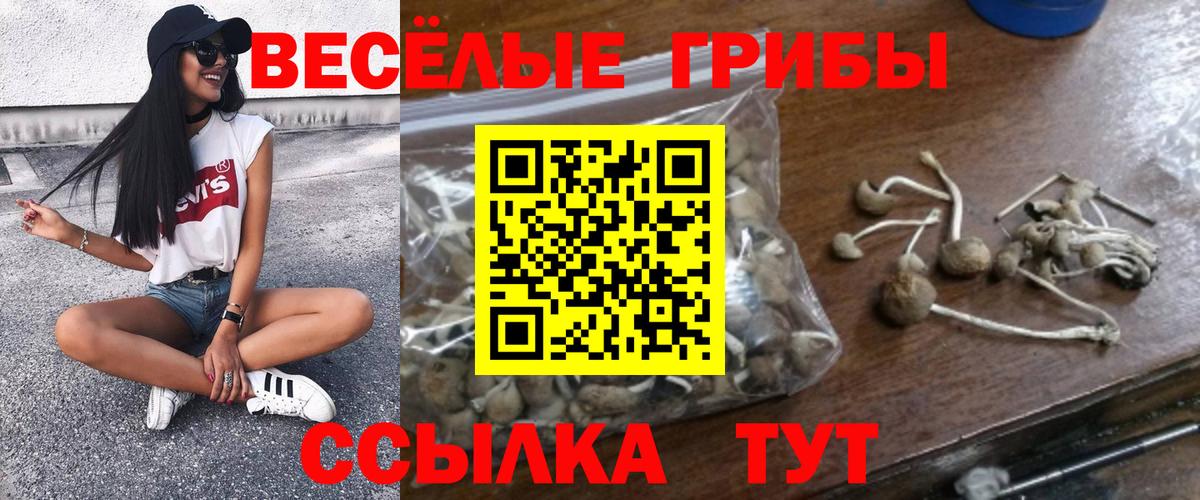 Псилоцибиновые грибы прущие грибы Аша