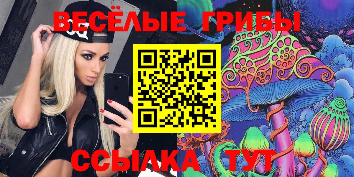 Галлюциногенные грибы MAGIC MUSHROOMS  Вход с VPN  Галлюциногенные грибы GOLDEN TEACHER  Аша 