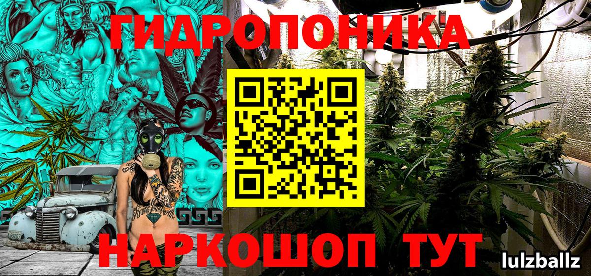 Марихуана White Widow  Вход с VPN  Аша  Бошки Шишки OG Kush  Конопля Ganja 